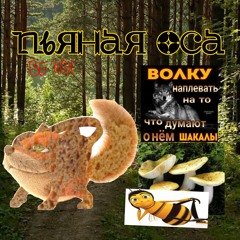 пьяная osa