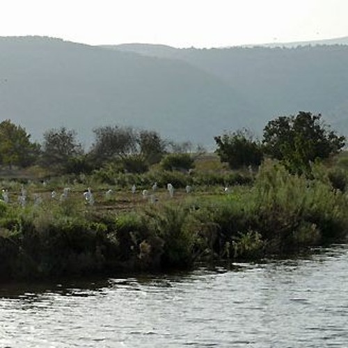 Kingstonian master version