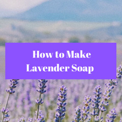 Making Lavender Soap