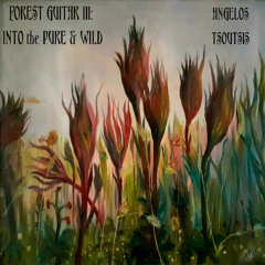 Introduction: Baritone guitar with birds