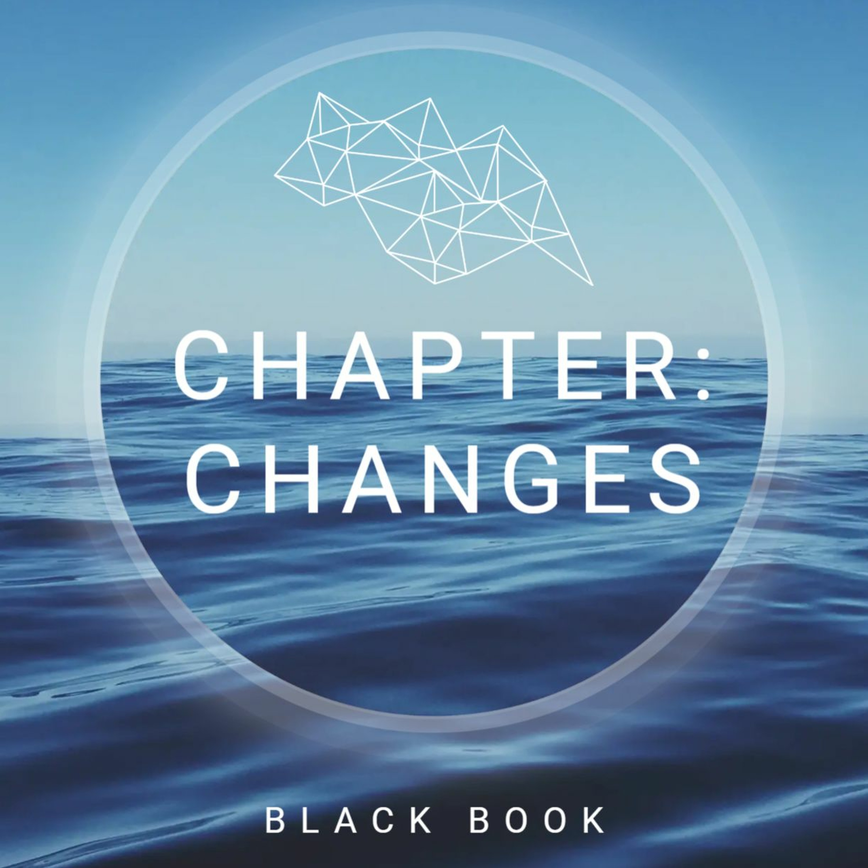 Black Book - Chapter Changes ( Wip 3 ) episode artwork