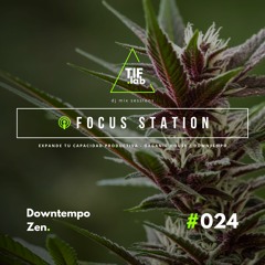 Downtempo Zen #024 - Melodies for the Mind | 🛋️ Deep Focus dj mix session 慢摇