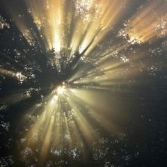 Jayson House-Through the light