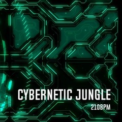 Cybernetic Jungle[210BPM][44Khz|32BIT]