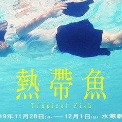 熱帶魚ost－紙箱裡的冒險（配樂）