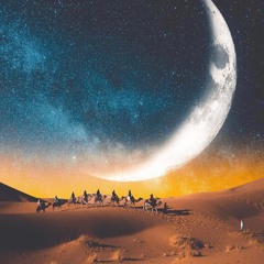 Night In The Desert - 2023