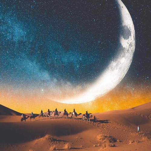 Night In The Desert - 2023
