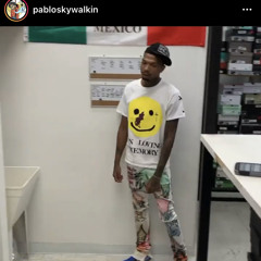 Pabloskywalkin - Binder