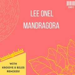 Lee Onel - Fantastic (Biles Remix)