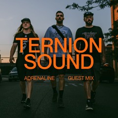 Adrenaline | Terrnion Sound