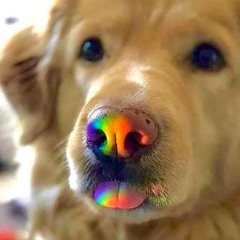 Promo Mix #4 (P-Lew's Mash-up Mix)