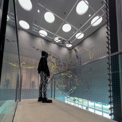 District Six- Anyways