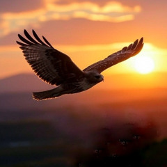 The Old Man's in Heaven-pdc