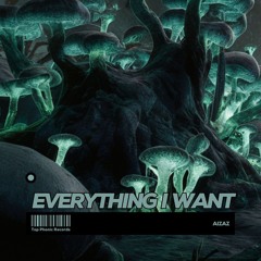 Aizaz - Everything I Want [Top Phonic Records ]
