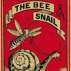 The Bee and Snail