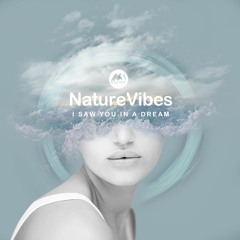 𝐏𝐑𝐄𝐌𝐈𝐄𝐑𝐄: NatureVibes - I Saw You In A Dream [M-Sol DEEP]