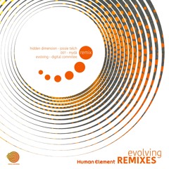 Evolving (Digital Committee Remix)