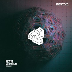 Night Driver (Original Mix)