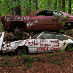 Salvage Title