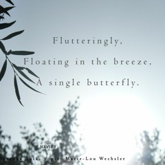 Boson Spin - Floating in the breeze [naviarhaiku350]