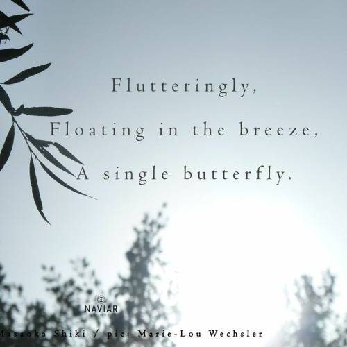 Boson Spin - Floating in the breeze [naviarhaiku350]