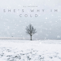SHES WHY IM COLD