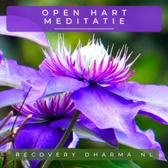 Open Hart Meditatie