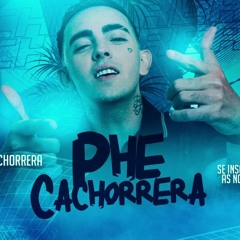 MC PP da VS e MC Phe Cachorrera - Pensa Pouco Pra Gastar (DJ Dubom e Veiga Prod)
