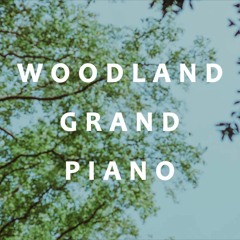 Woodland Grand Piano Demo