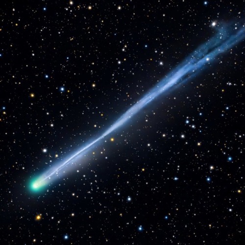 leave a voicemail at the tone