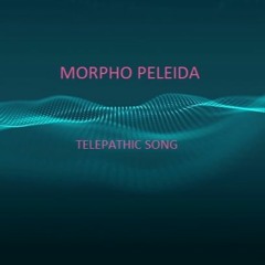 Morpho Peleida - Telepathic Song (Demo)