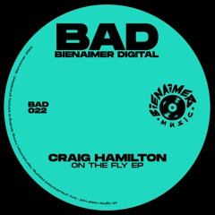 BAD022 - CRAIG HAMILTON  - ON THE FLY EP