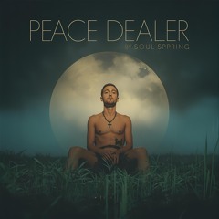 Peace Dealer