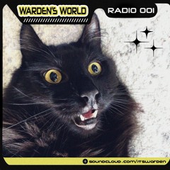 Warden's World Radio / Guest Mixes