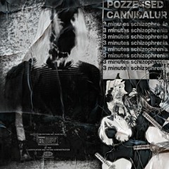 pozzessed + cannibalur - 3 Minutes Schizophrenia合