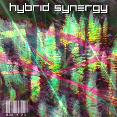 HYBRID SYNERGY