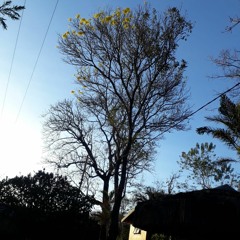 06.01.2022 - Cap. VII - Puros de Coração - Bem Aventurados os Que Tem os Olhos Fechados (5)