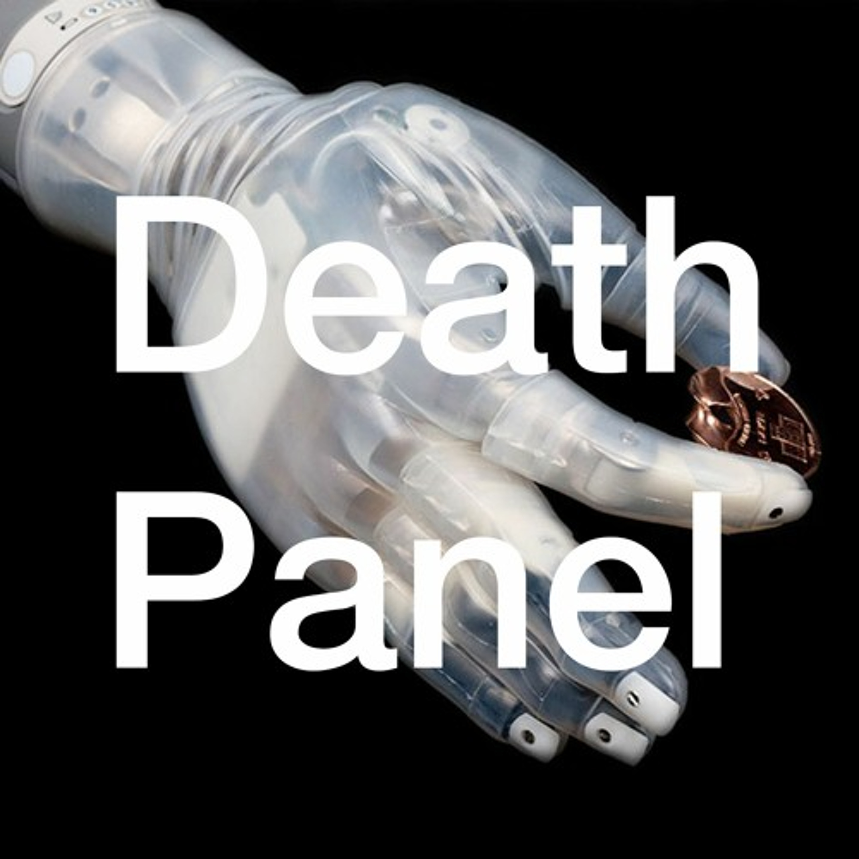 "The Wheelchair-to-Warfare Pipeline" w/ Liz Jackson and Rua Williams