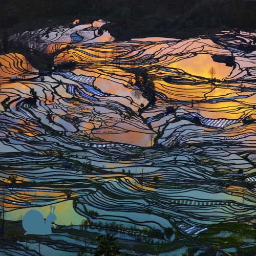 PREMIERE: Motschji & Håns Vøm Schneggeloch - Mellowmarsh (Original Mix) [algoRythmus Records]