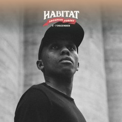 AudioJerk - Live @ Habitat - Arcadian Forest 2025 (06-12-25)