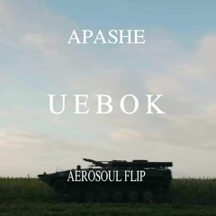 Apashe - Uebok (Aero Soul flip)