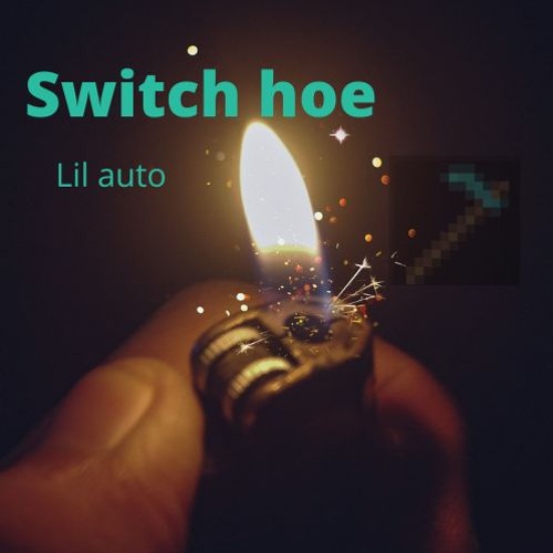 Lil auto - Switch hoe