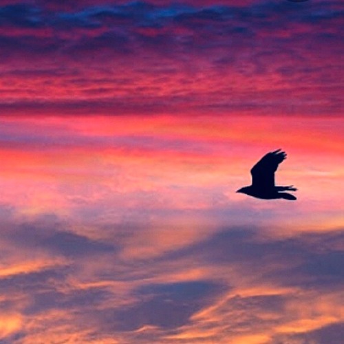 Here, There and Anywhere