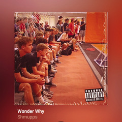 Wonder Why (Prod. Bw Productions)