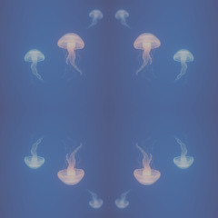 Midnight Void Echoes #881