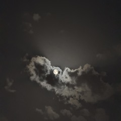 انا لحالي احَبك هيج.mp3