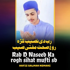 Rab De Naseeb ka Rokh Sihat Mufti Sb