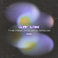 Calumny, DJ Furax - The Feeling (Big Orgus)