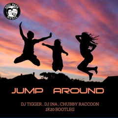Mattias - Jump Around (DJ Tigger, DJ Ina, Chubby Raccoon 2k20 Bootleg) Free DL Available!!