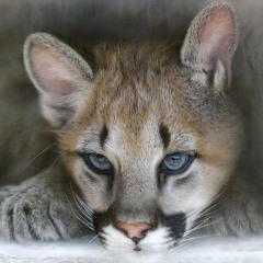 SEANCE IV 2023.10.28